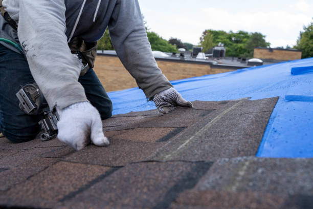 Best Best Roofing Contractors  in Cecil Bishop, PA