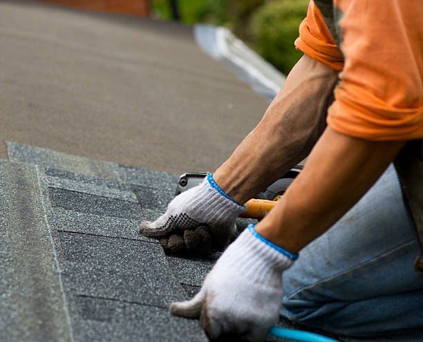 Professional Roofing Contractor in Cecil Bishop, PA