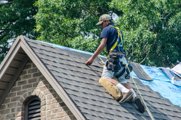 Best Roof Gutter Cleaning  in Cecil Bishop, PA